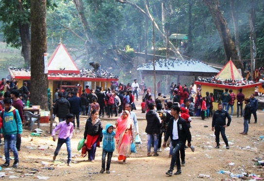 पाल्पामा चिच्याएर वर माग्ने मेला सुरु